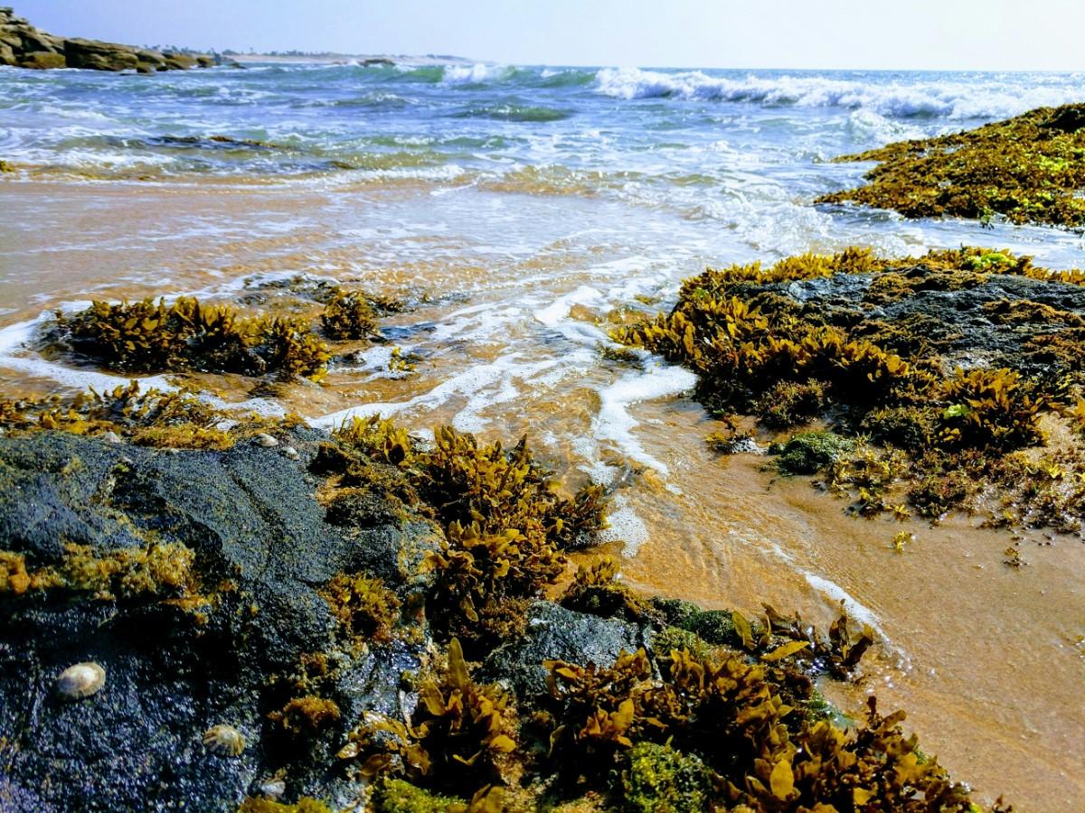 Water on the shore of Yala National Park 