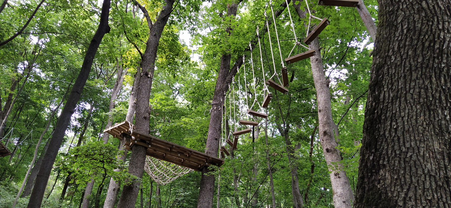 Go Ape