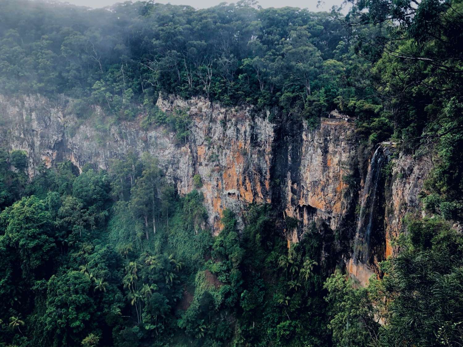 Springbrook National Park