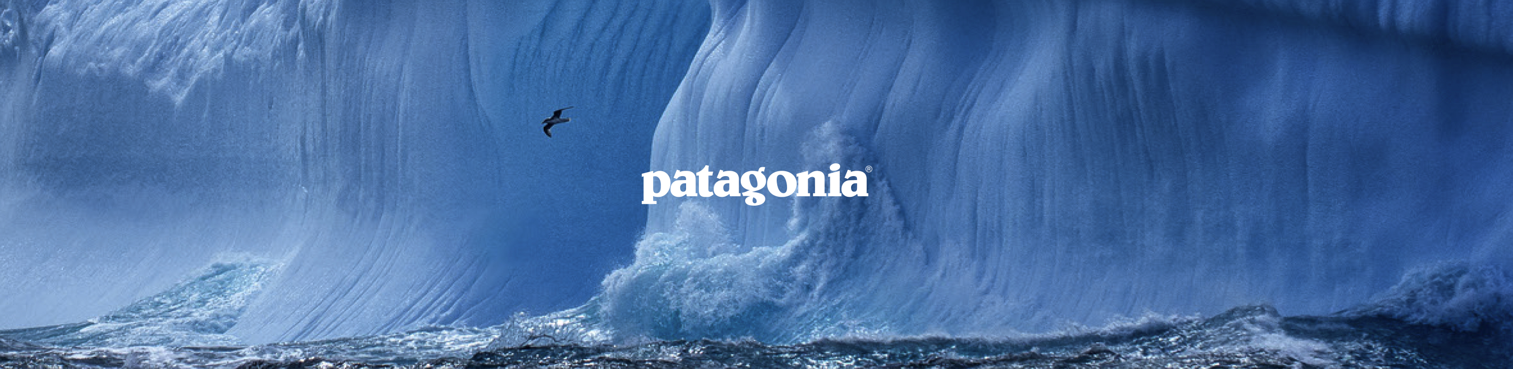 Blue waves with the Patagonia brand logo in the middle