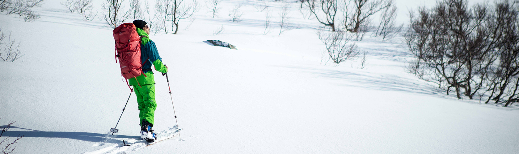 A person walking through the snow wearing an avalance pack 