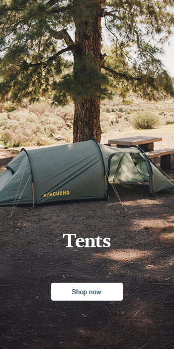 Tent in the nature under a tree